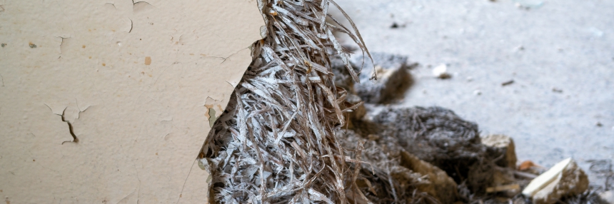 Actualización de la Guía Técnica sobre Amianto y Planes de Trabajo