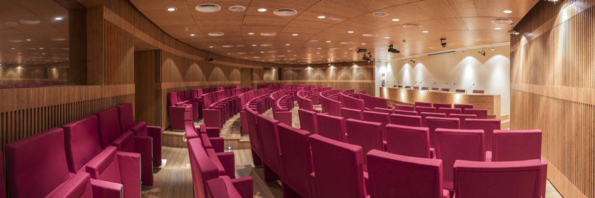 Asamblea General de Colegiados