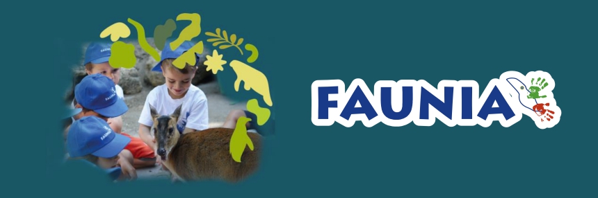 Campamentos de Semana Santa en Faunia para menores